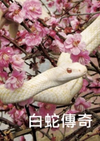 白蛇传奇